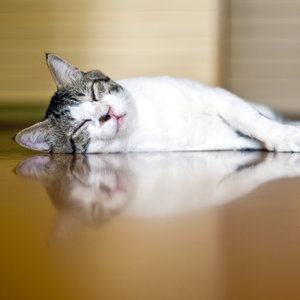 Kiedy nie powinno się używać izopropanolu?