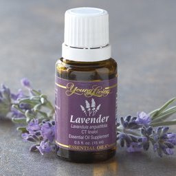 Przygotuj potrzebne składniki