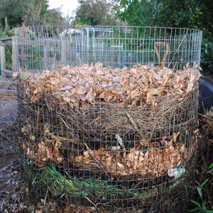 Nawóz mineralny czy organiczny?