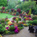 Jak dobierać barwy kwiatów w ogrodzie?