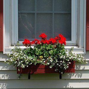 Stanowisko i wymagania glebowe