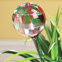 Kule Aqua Globes