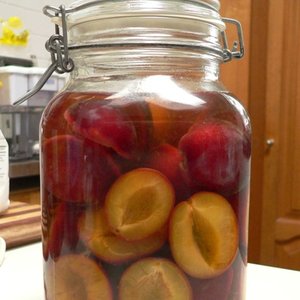 Niezbędne składniki