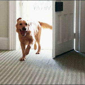 Jak należy dbać o dywan?