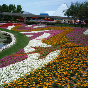 Ogrodowe arcydzieła