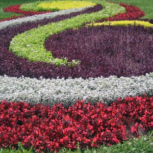 Kwietniki w różne wzory