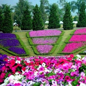 Na jaki kształt warto się zdecydować?