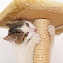 Jak samemu wykonać drapak dla kota?