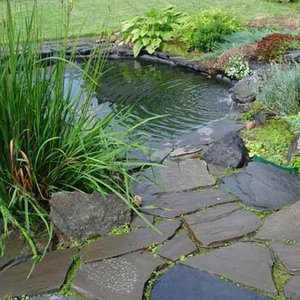 Jak sadzić rośliny?