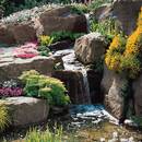 Jak założyć ogródek skalny?