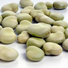 Jak poprawnie gotować bób?