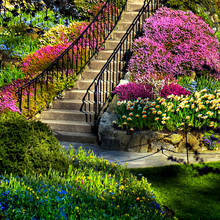 Bezpłatne programy do projektowania ogrodów