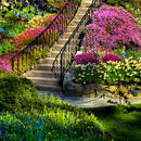 Bezpłatne programy do projektowania ogrodów