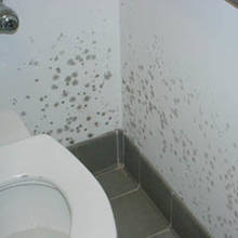 Jak usunąć pleśń ze ściany?