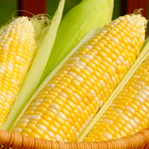 Sposoby podania kukurydzy