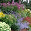 Jak powinno się zaplanować rabatę bylinową?