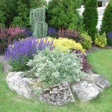 Jak dobrać rośliny na rabatę – pora kwitnienia