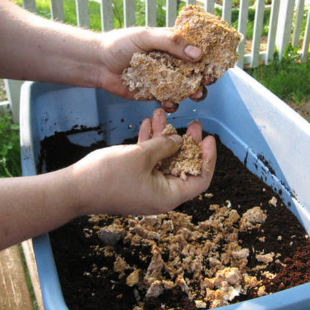 Jak przygotować ziemię do uprawy pieczarek?