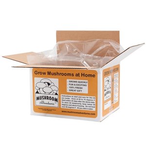 Co zawiera zestaw do uprawy pieczarek?