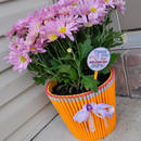 Jak ładnie ozdobić doniczkę?