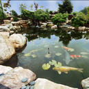 Jak zadbać o szczelność oczka wodnego?