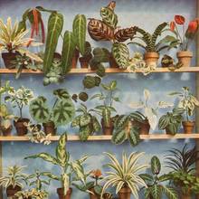 Czy kwiaty mogą szkodzić dziecku?