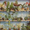 Czy kwiaty mogą szkodzić dziecku?