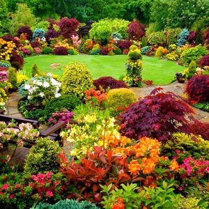 Co może zakwitnąć w naszym ogrodzie?