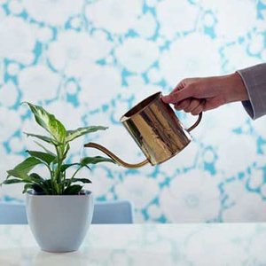 O czym warto pamiętać?