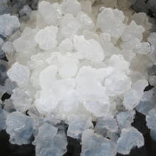 Jak uprawiać algi morskie?