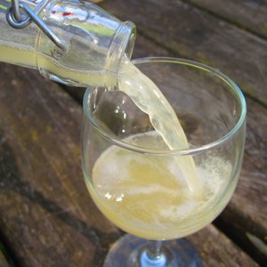 Jakie zdrowotne właściwości ma kefir wodny?