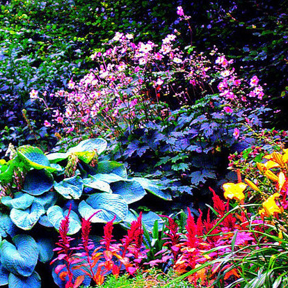 Piękne barwy w ogrodzie przez cały sezon – jak to zrobić?