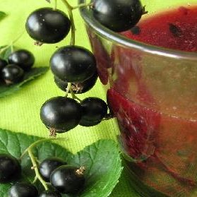 Zdrowotne właściwości porzeczek