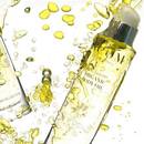 Sposób przygotowania oliwki do ciała