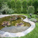 Jak niedużym kosztem wykonać oczko wodne?