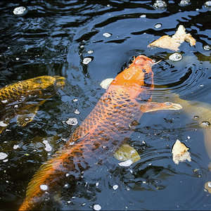 O czym jeszcze trzeba pamiętać?