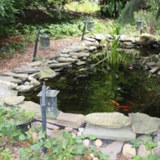 Wykańczamy brzegi oczka wodnego