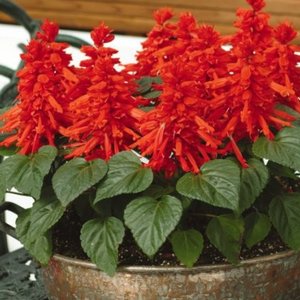 Stanowisko i warunki glebowe