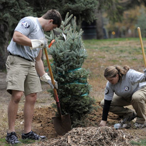 Przygotowanie gruntu