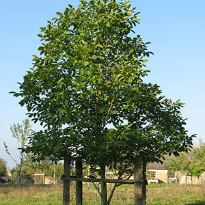 Przygotowanie stanowiska