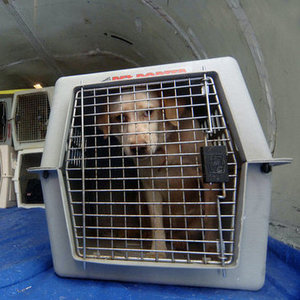 Badania i szczepienia