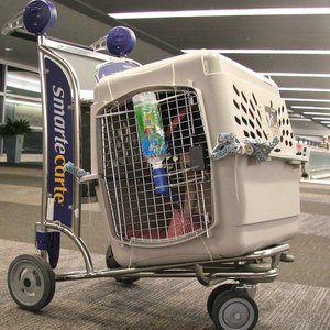 Ułatwienie podróży