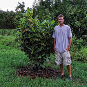 Sadzenie na miejscu stałym