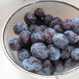 Składniki na powidła