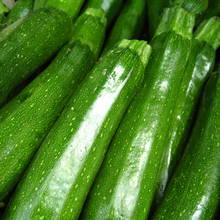 Uprawa cukinii – podstawowe zasady