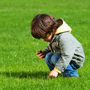 Jak zająć się trawnikiem na wiosnę?