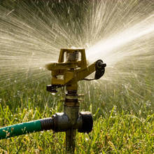 Jak gospodarować wodą w ogrodzie?