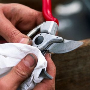 Jaki sekator kupić?