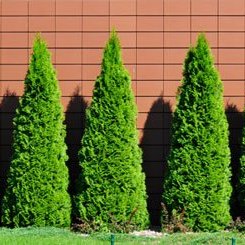 Przygotowanie stanowiska