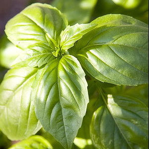 Stanowisko i temperatura